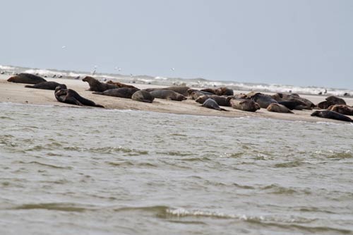 Berck-sur-Mer img_0648