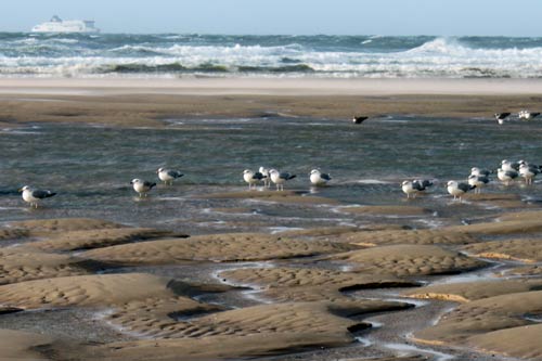 Cap Blanc Nez img_0468