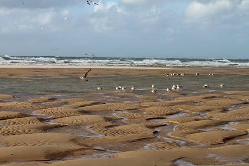 Cap Blanc Nez img_0475