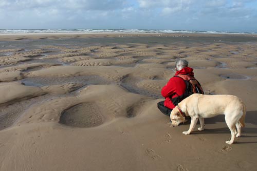 Cap Blanc Nez img_0476