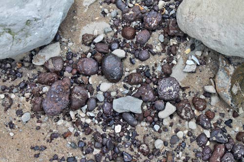 Cap Blanc Nez img_0569