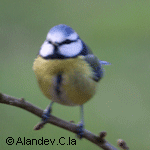 Insert_logo Insérer le logo ici