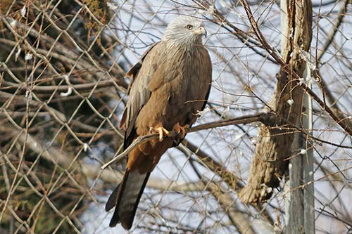 Milan noir img_07131