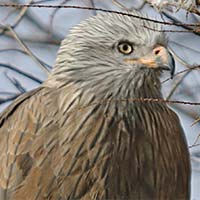 Les autres img_07131