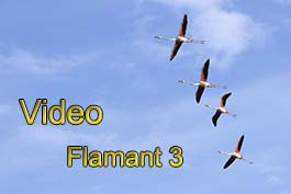 Les Herons 1 img_06879