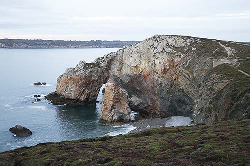 Mouette rieuse img_9587