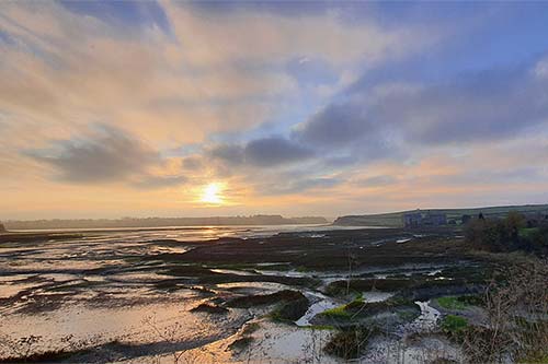 près de St Suliac sam162829