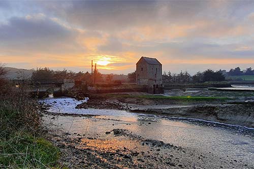 près de St Suliac sam163549
