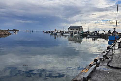 port de St Guénolé sam191927