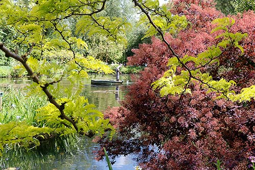 Jardin de Claude Monet img_4764