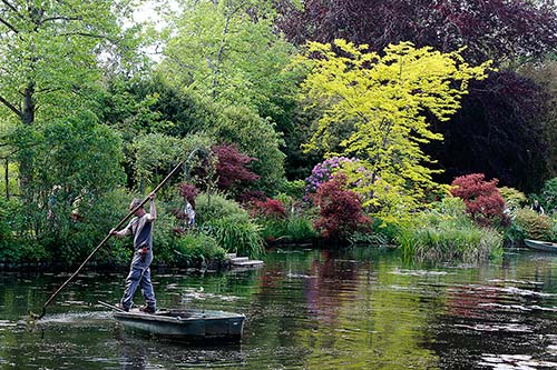 Jardin de Claude Monet img_4778