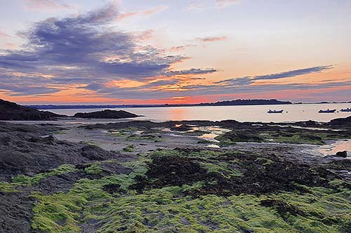 à Lancieux le soir sam_214831