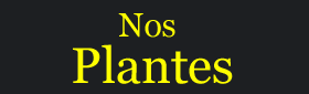 Nos Plantes
