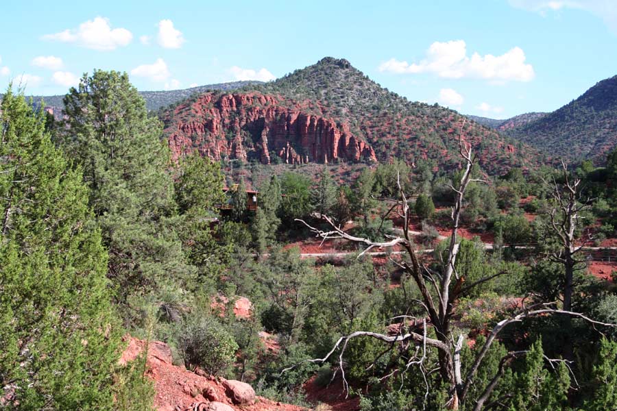 2m_avsedona