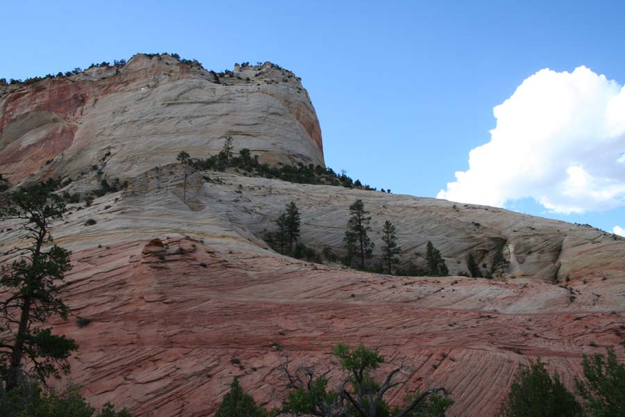 utah302_2785